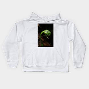 Blunt Greenhood Orchid Kids Hoodie